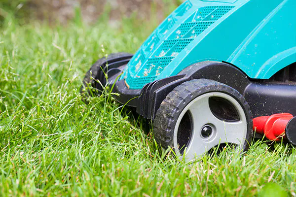 Adding new agricultural machinery and equipment for smarter field weeding