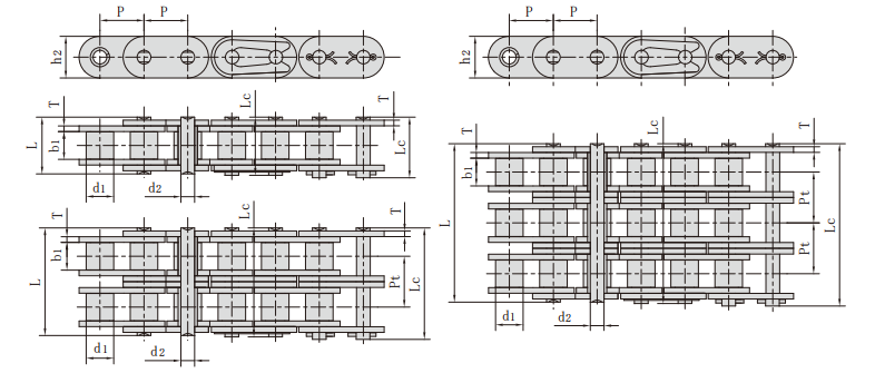   A Series Straight Chain Plate Conveying Roller Chain   