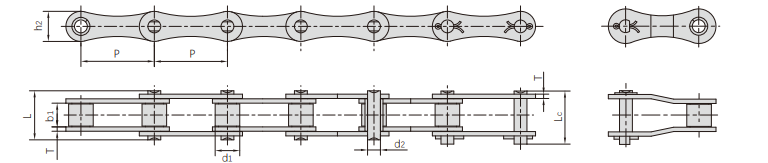   ANSl Series Agricultural Chains   