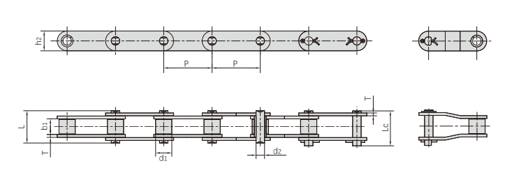   ANSl Series Agricultural Chains   