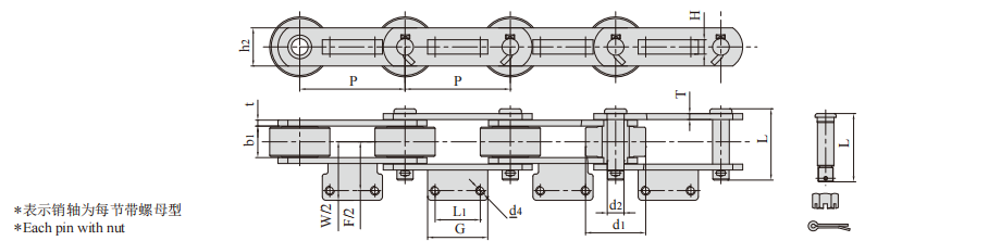   Bottle Washer Conveyor Chains   