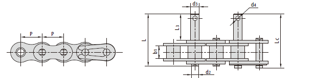   Conveyor chains with special extended pins   