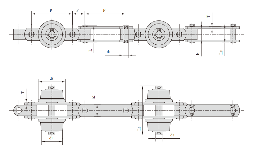   Double Hinged Conveyor Chains   