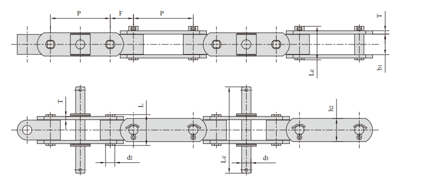   Double Hinged Conveyor Chains   