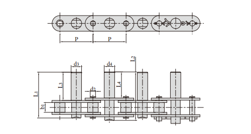   Double Pitch Conveying Roller Chain with Extended Pins   