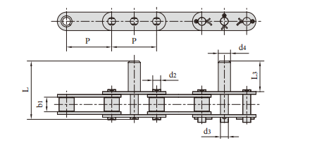   Double Pitch Conveying Roller Chain with Extended Pins   