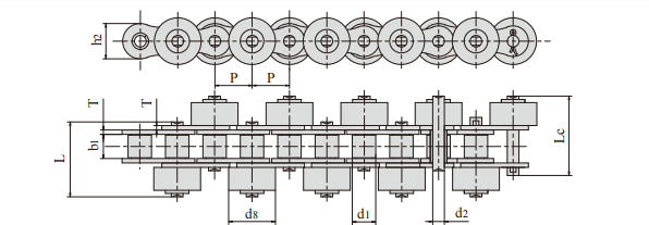   Free Flow Chain   