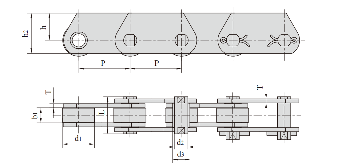   Hollow Pin Conveyor Chains (MT Series)   