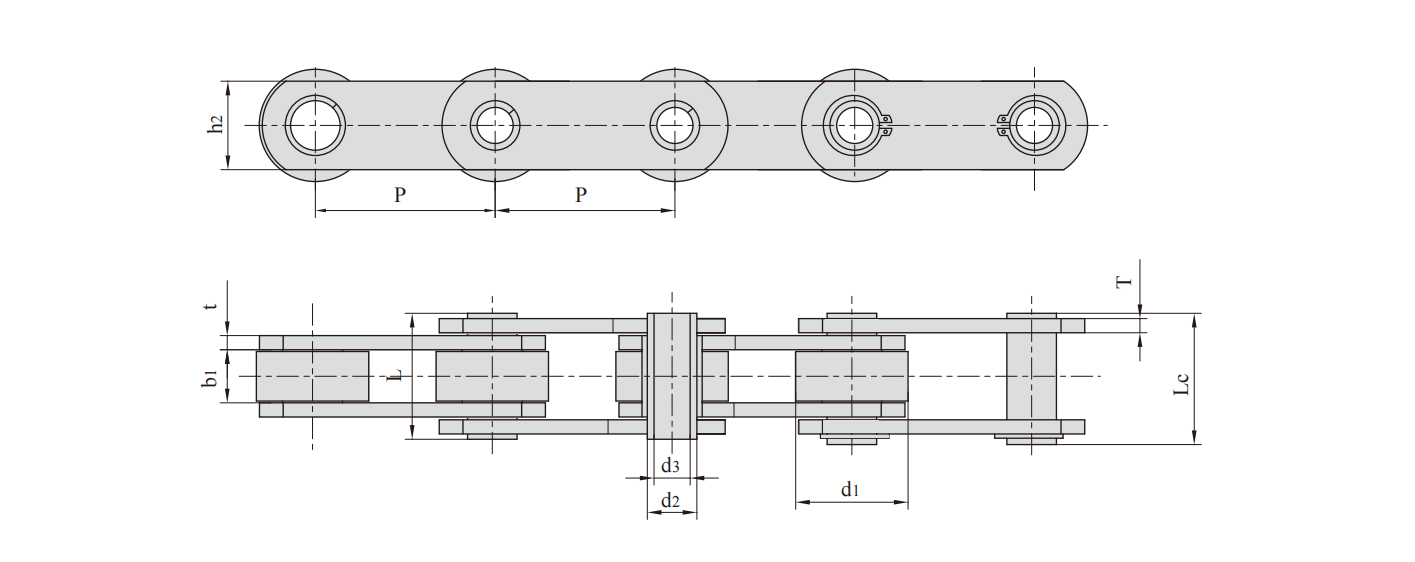   Non-standard Hollow Pin Conveyor Chains   