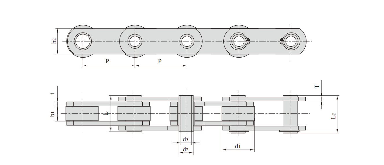   Non-standard Hollow Pin Conveyor Chains   