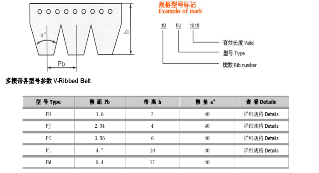   Poly-rib Belt   