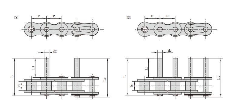   Short Pitch Conveying Roller Chain with Extend Pins   