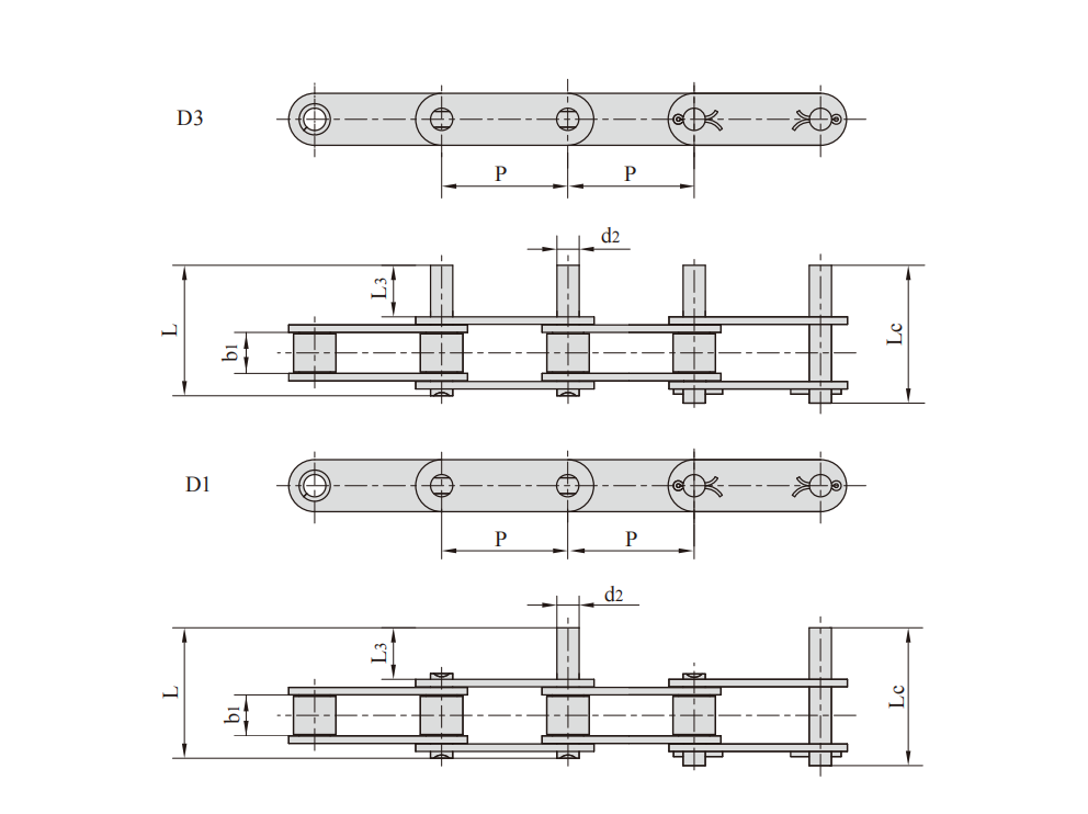   Stainless Steel Double Pitch Conveyor Chains with Extended Pins   