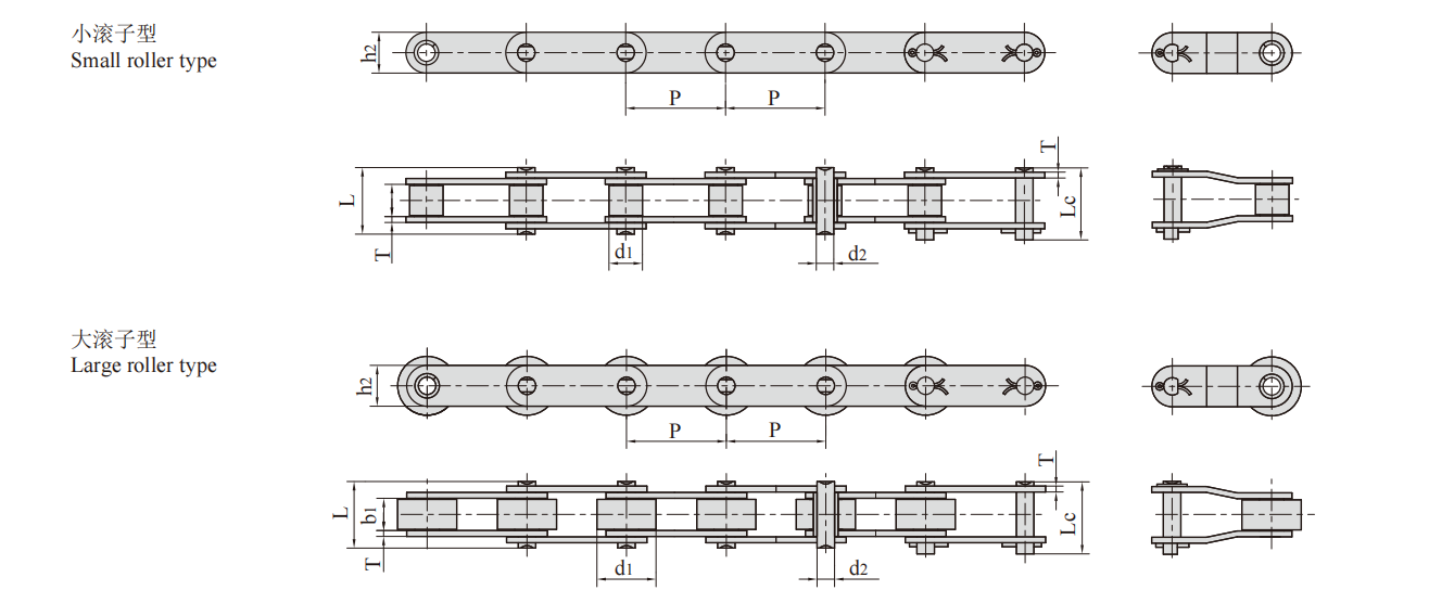   Stainless Steel Double Pitch Conveyor Chains with Extended Pins   