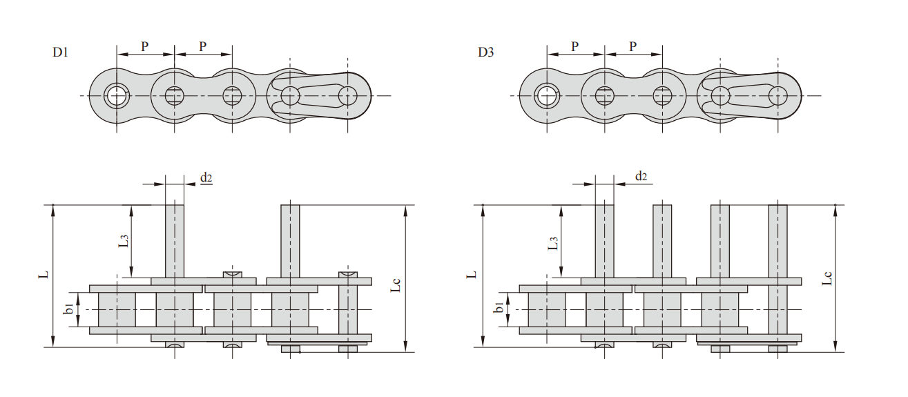   Stainless Steel Double Pitch Conveyor Chains with Extended Pins   