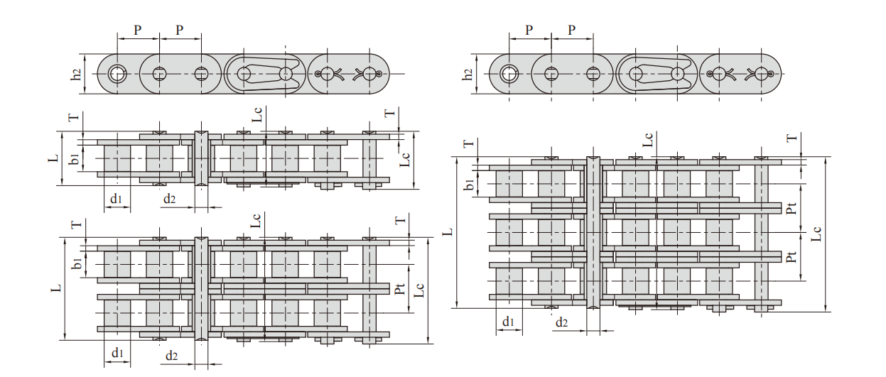   Stainless Steel Double Pitch Conveyor Chains with Extended Pins   