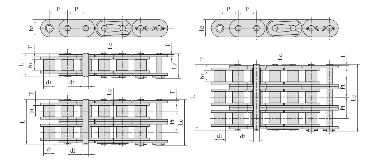   Stainless Steel Double Pitch Conveyor Chains with Extended Pins   