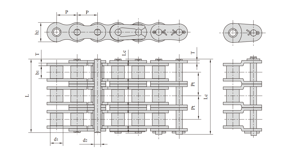   Stainless Steel Double Pitch Conveyor Chains with Extended Pins   