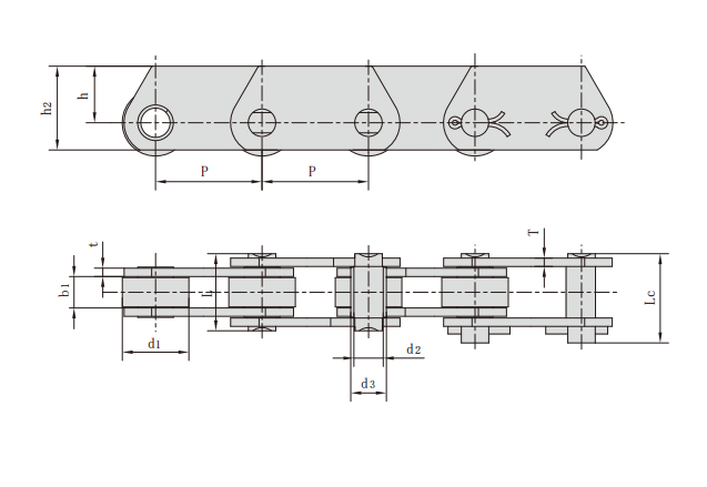   Z series conveyor chains   